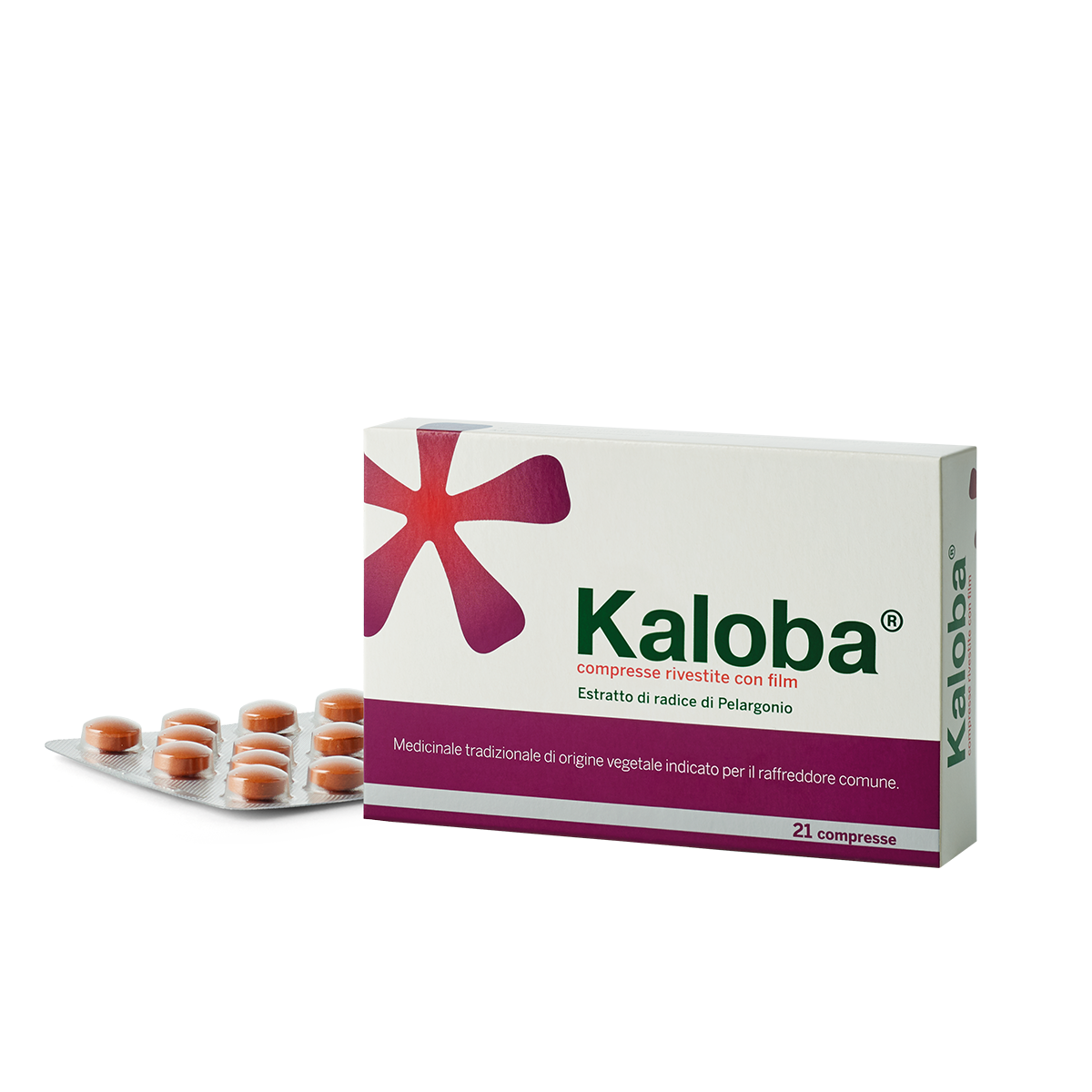 KALOBA*21CPR RIV - famajoy.it