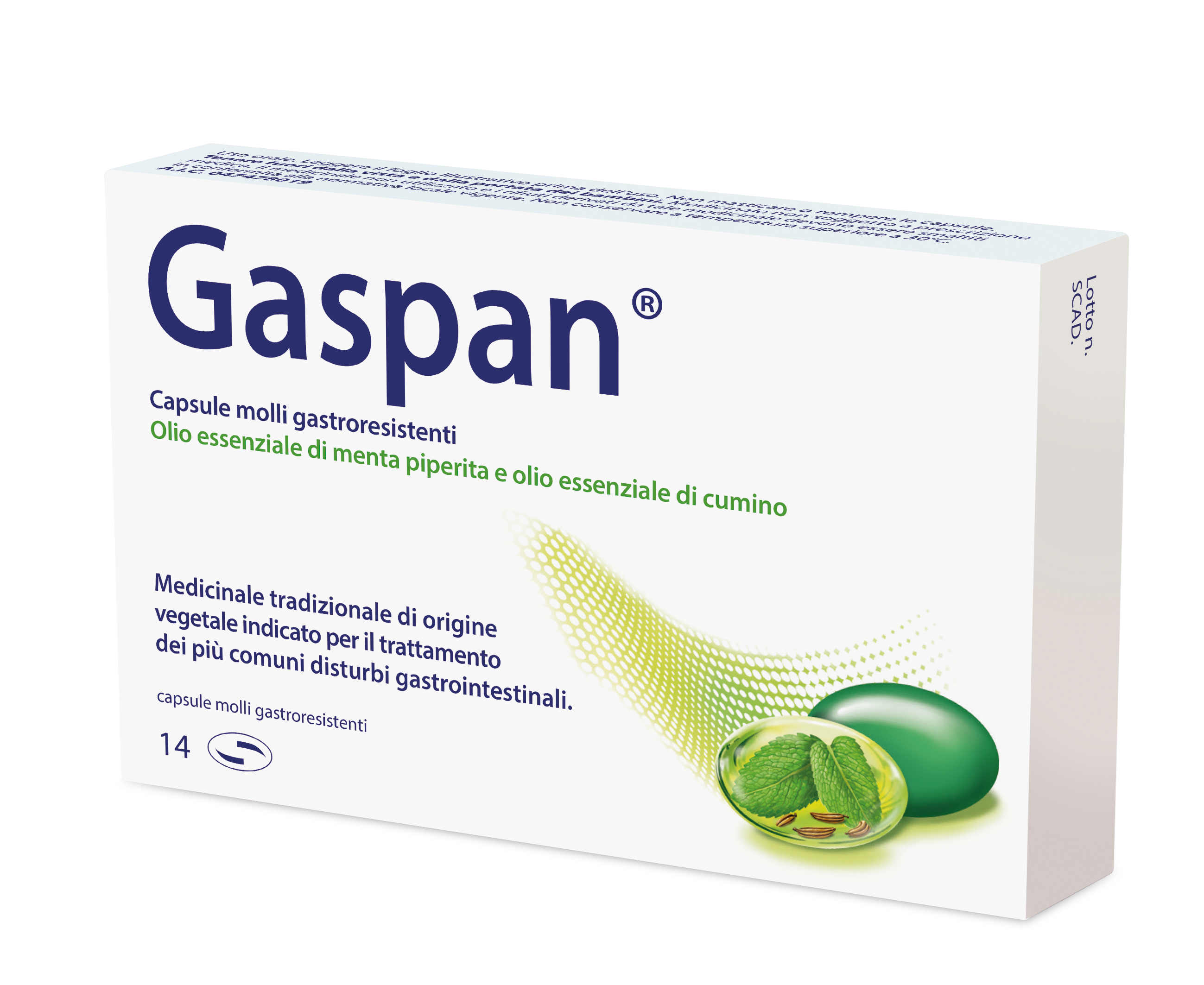 GASPAN*14CPS MOLLI GASTRORES - famajoy.it