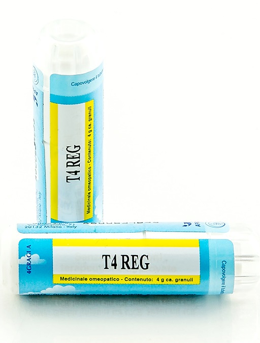 T4 REG GRANULI 4G - famajoy.it