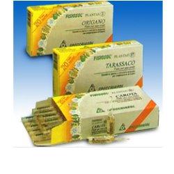 FISIOSOL PL RIBES NE 20F - famajoy.it