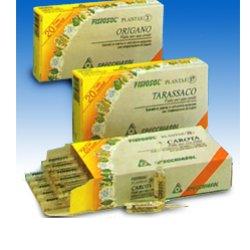 FISIOSOL PL ANGELICA 20F - famajoy.it