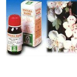 BIANCOSPINO 10 50ML TM - famajoy.it