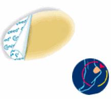 COMPEED VESCICHE CEROTTI FORMATO MEDIO 5 PEZZI - famajoy.it
