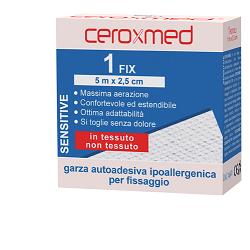 GARZA CEROXMED FIX 200X10 CM 1 PEZZO - famajoy.it