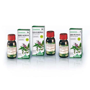 GEMMOSOL 46 TIGLIO ARGEN 50ML - famajoy.it