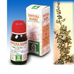 UVA URSINA 30 50ML TM - famajoy.it