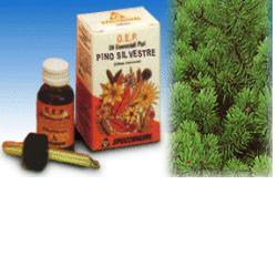 PINO SILVESTRE OLIO ESSENZIALE PURO 10 ML - famajoy.it