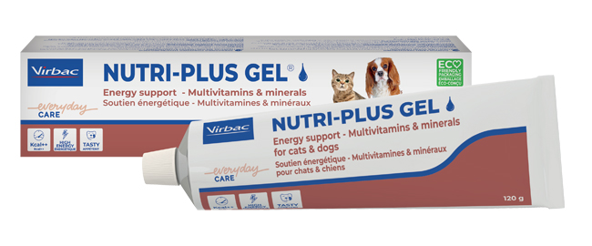 NUTRIPLUS GEL PASTA ORALE 120 G - famajoy.it