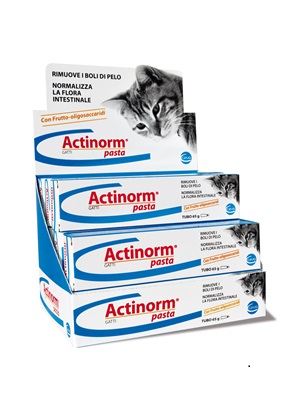 ACTINORM PASTA GATTI 65 G - famajoy.it
