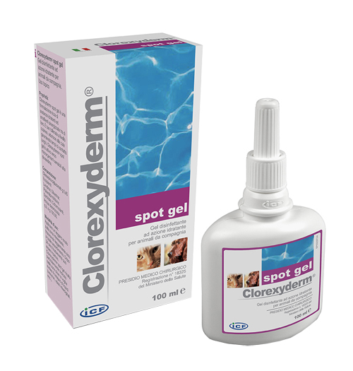 CLOREXYDERM SPOT GEL 100ML - famajoy.it