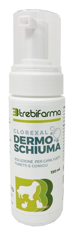 CLOREXAL DERMOSCHIUMA 150 ML - famajoy.it