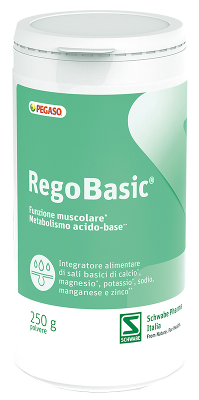 REGOBASIC POLVERE 250 G - famajoy.it