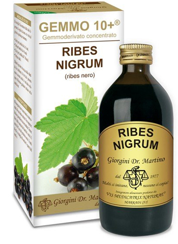 GEMMO 10+ RIBES NERO 200 ML LIQUIDO ANALCOLICO - famajoy.it