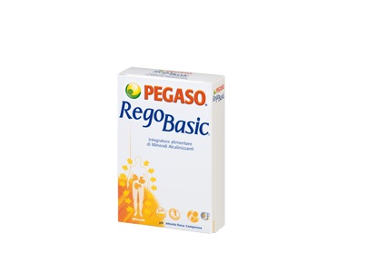 REGOBASIC 12 BUSTINE POLVERE - famajoy.it