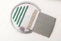 PETTINE ACCIAIO PER RIMOZIONE PIDOCCHI - famajoy.it