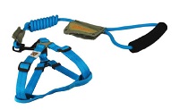 SET PETTORINA E GUINZAGLIO MEDIO AZZURRO - famajoy.it