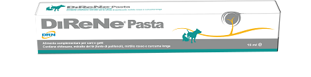 DIRENE PASTA 15 ML - famajoy.it