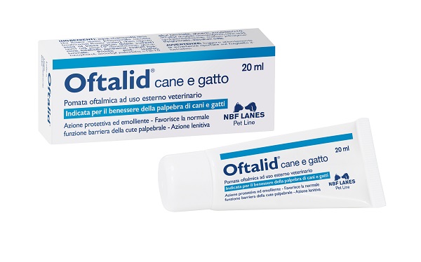OFTALID POMATA OFTALMICA 20 ML - famajoy.it