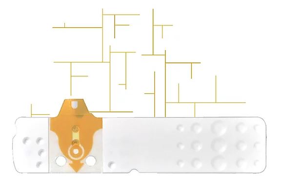 STRISCE MISURAZIONE GLICEMIA LINEA D ORO 50 PEZZI - famajoy.it