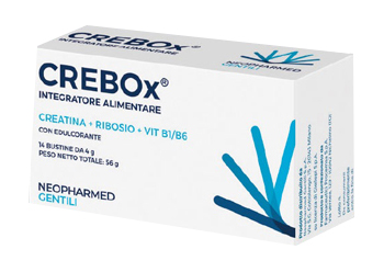 CREBOX 14 BUSTINE - famajoy.it