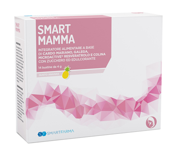 SMART MAMMA 14 BUSTINE GUSTO ANANAS - famajoy.it