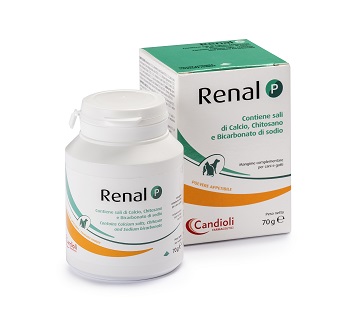 RENAL P MANGIME COMPLEMENTARE PER CANI E GATTI BARATTOLO 70 G - famajoy.it