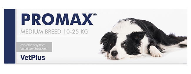PROMAX MEDIUM BREED 18 ML - famajoy.it