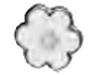 ORECCHINI GLORIOSA WHITE SWAROVSKI CRYSTALS 8 MM - famajoy.it