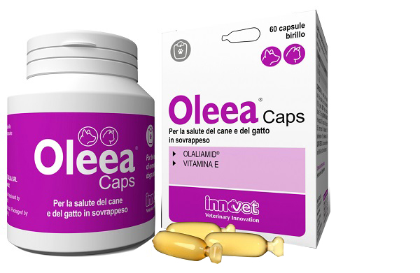 OLEEA CAPS 60 CAPSULE - famajoy.it